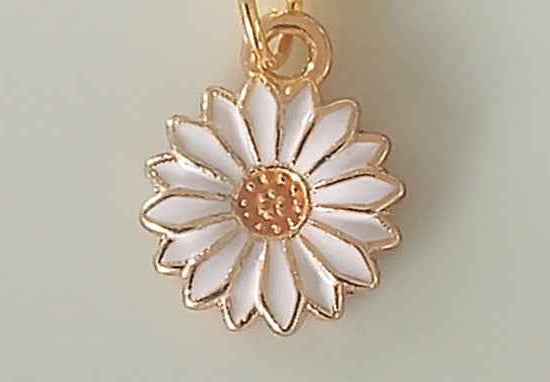 Broche charms personnalisable