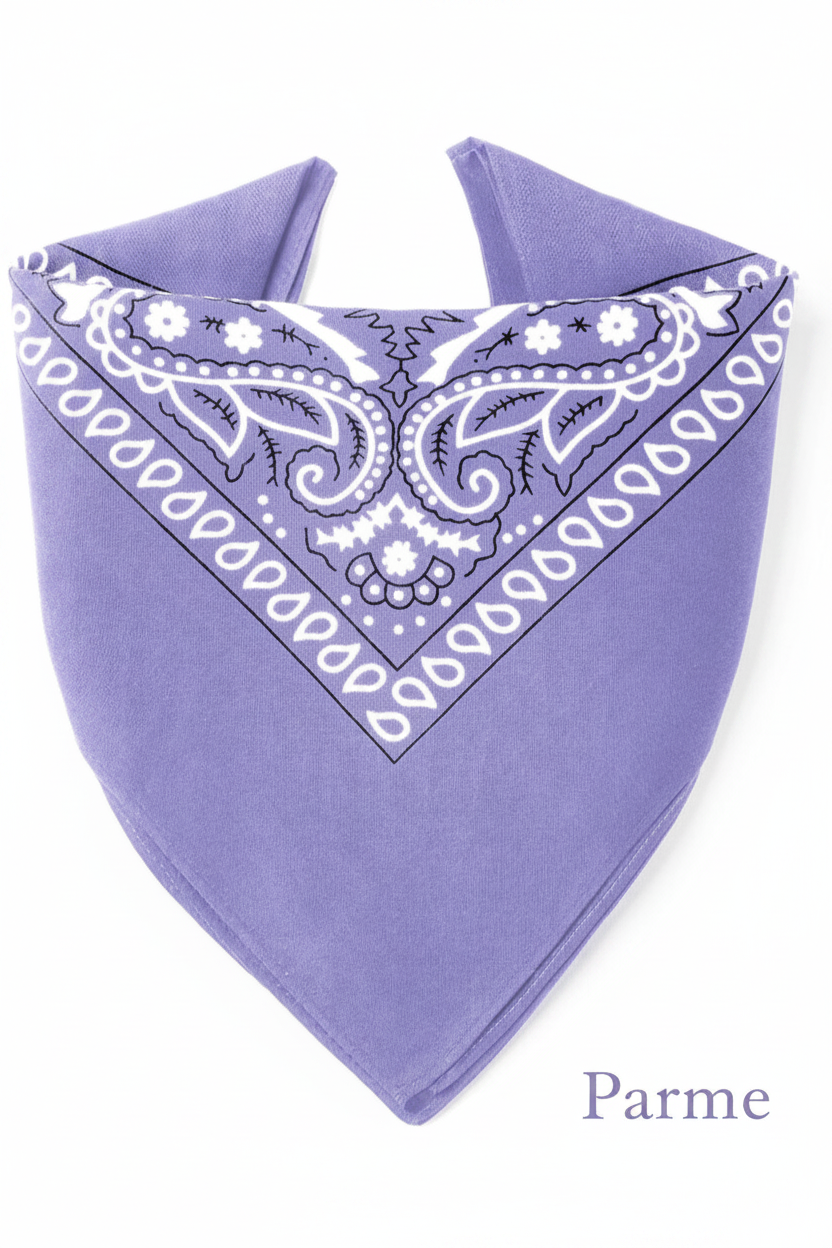 Bandana 1 charm