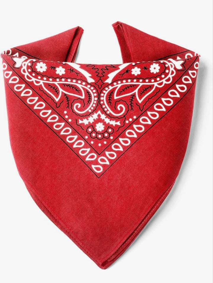 Bandana 1 charm