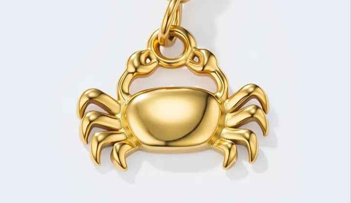 Broche charms personnalisable